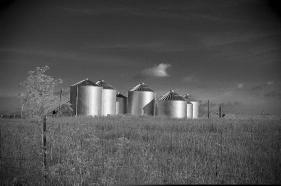 Rural_landscape__10