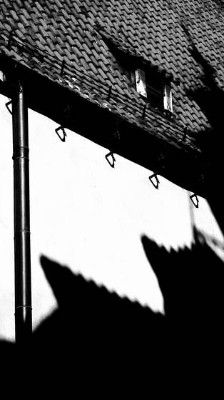 Roof__1