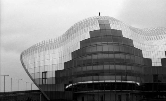 Man_and_sage_building
