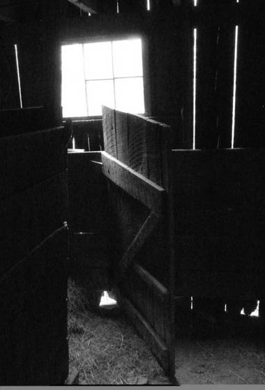 Cow_stall_door