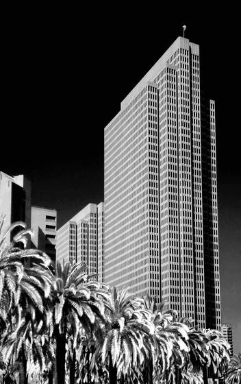 Embarcadero_and_palm
