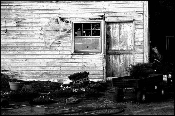 Gardeners_shack