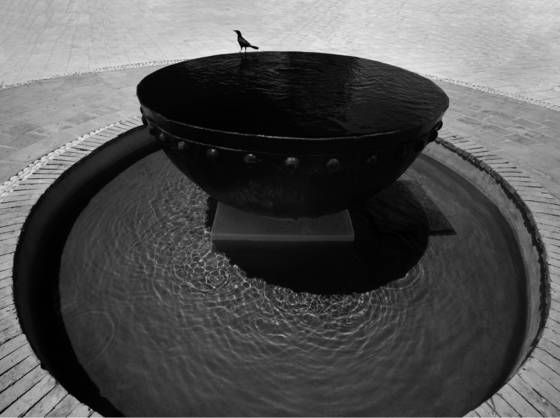 The_bird_and_the_fountain