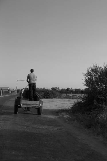 Albanian_man_and_carriage