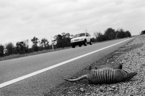 Road_trip