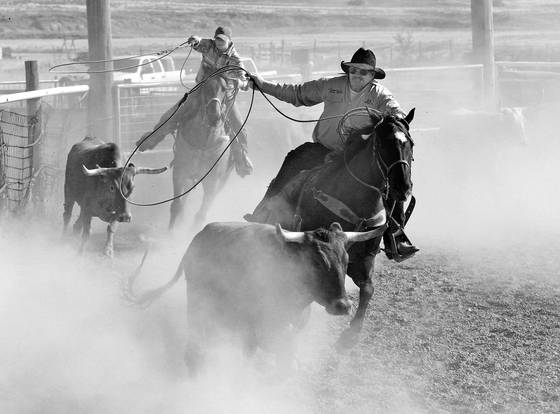 Rodeo_dust