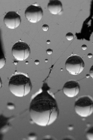 Wet_round_mirrors