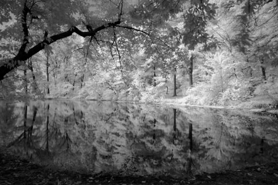 Untitled_3