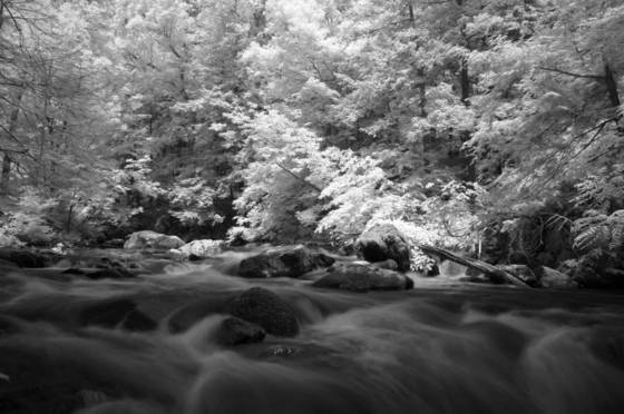 Untitled_5