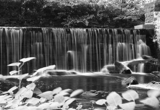 Untitled_8