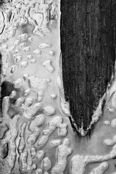 Log_in_creek