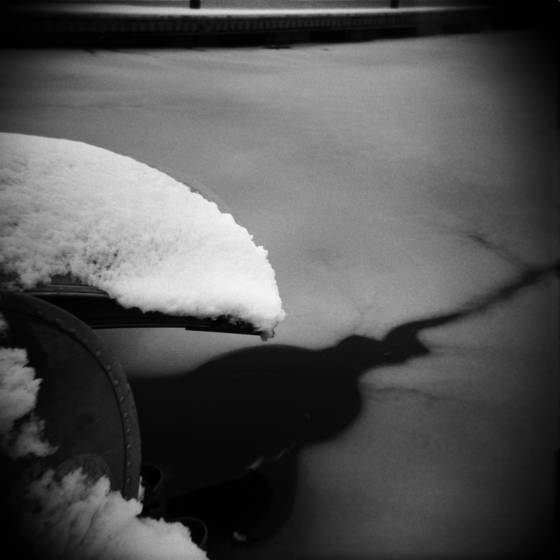 Snow_covered_bow