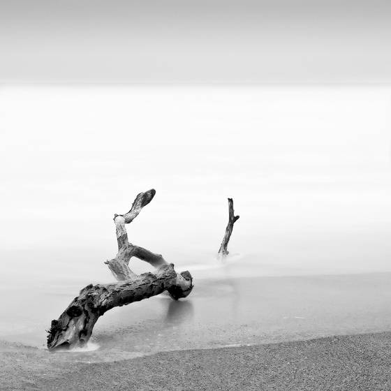 Rodeo_beach_study__4