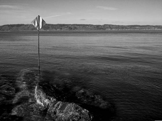 The_water_sign