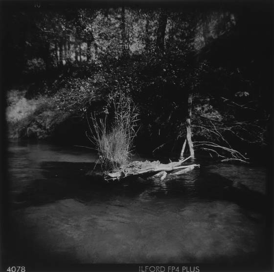 Stream