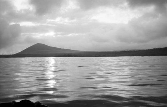 Untitled_9