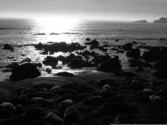 Seals
