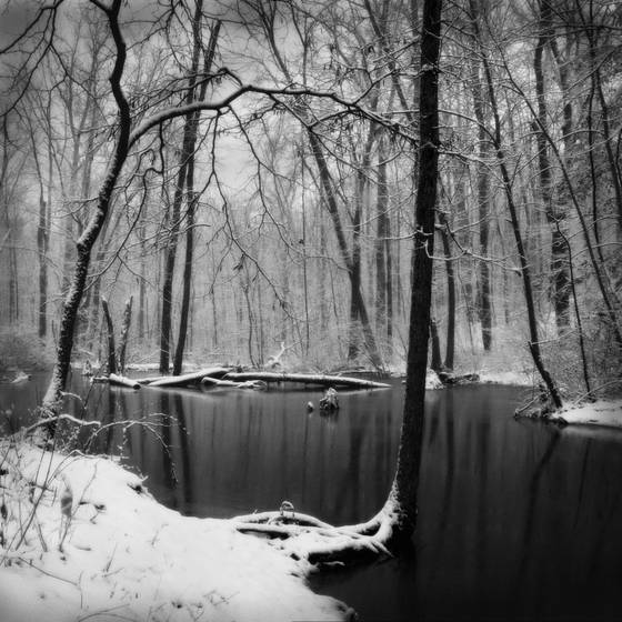 Winter_scene