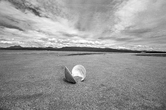 Shell_vista_sunshine