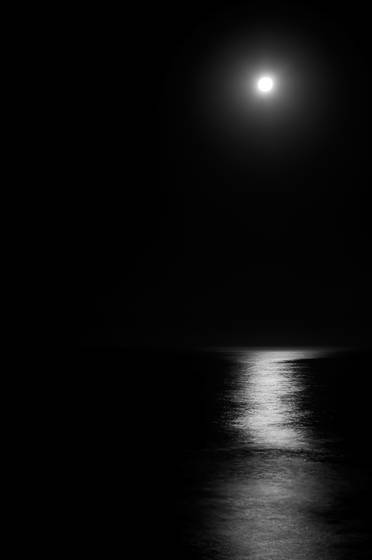 Moonlight