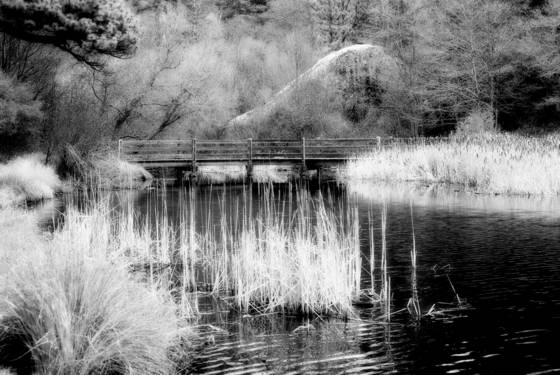 Fullmore_lake