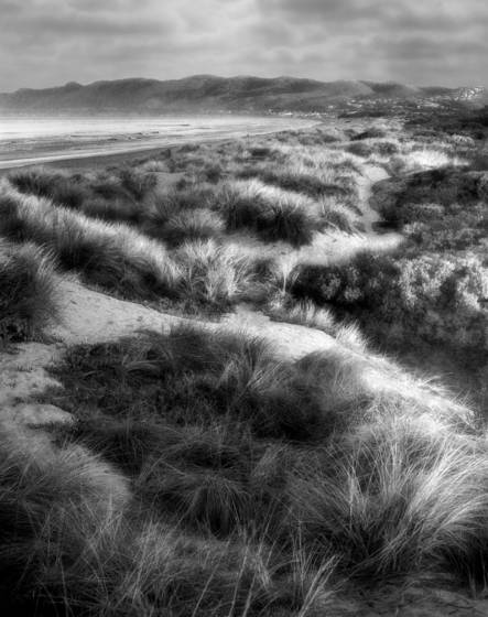 Pismo_dunes