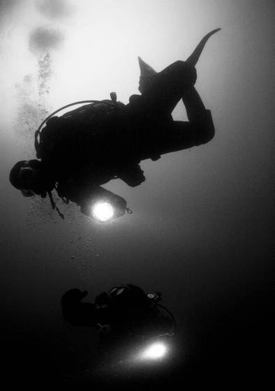 Seward_diving__12