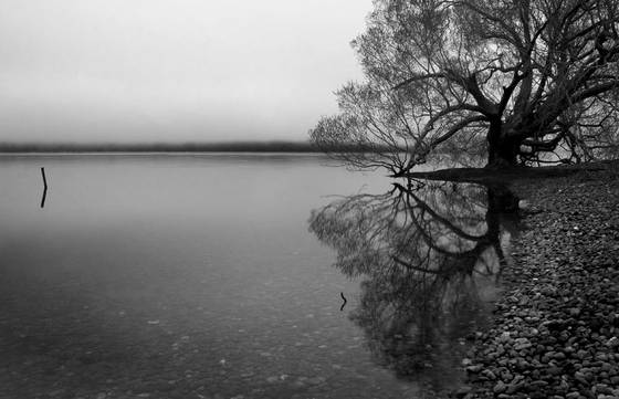 Morning_peace