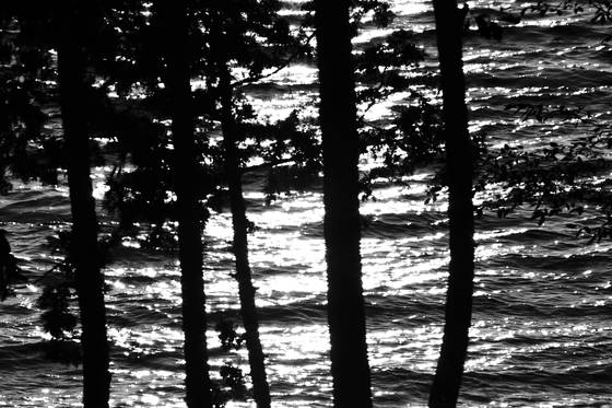 Lake_of_bays