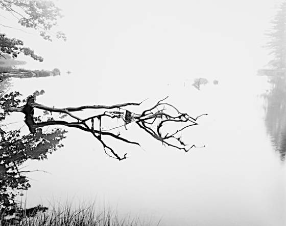 Morning_haiku