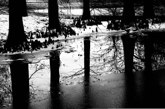 Shapes_of_winter