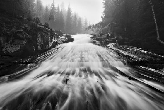 River_with_logs