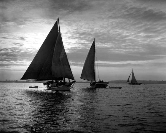 Three_skipjacks