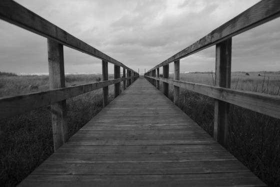 The_path