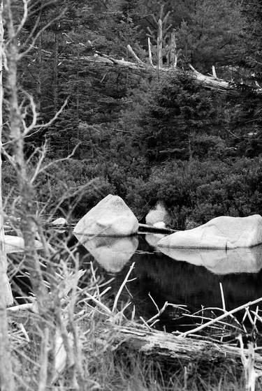 Reflections