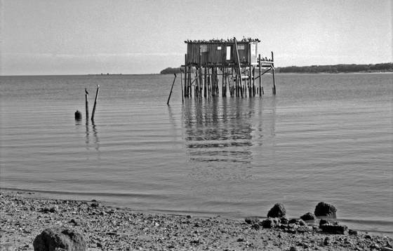 Island_house