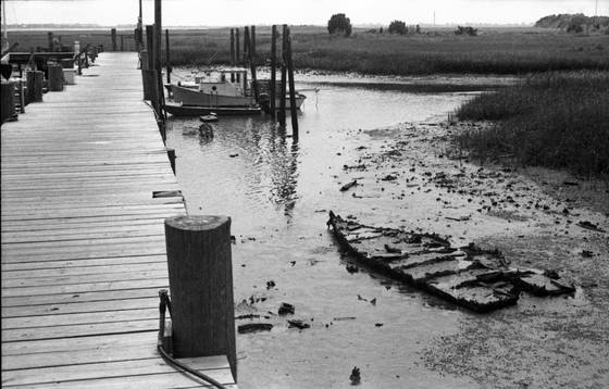 Low_tide