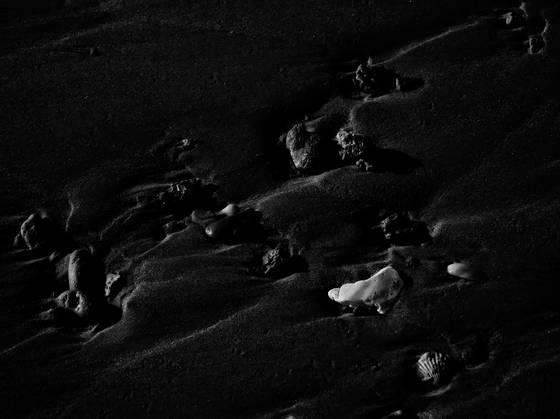 Texture_2