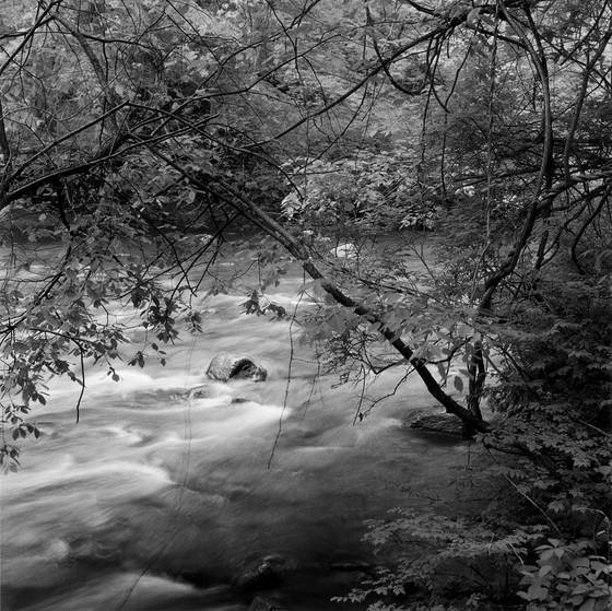 Yellow_creek
