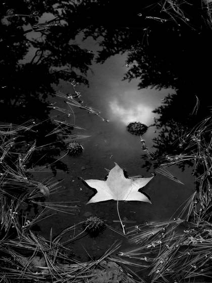 Ethereal_reflection