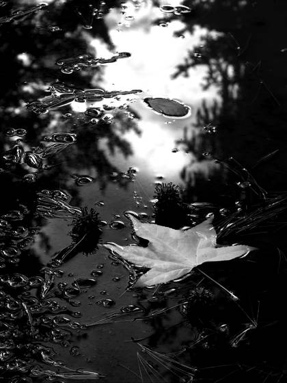 Mirrored_puddle