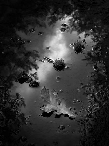 Twilight_reflection