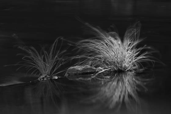 Untitled_3