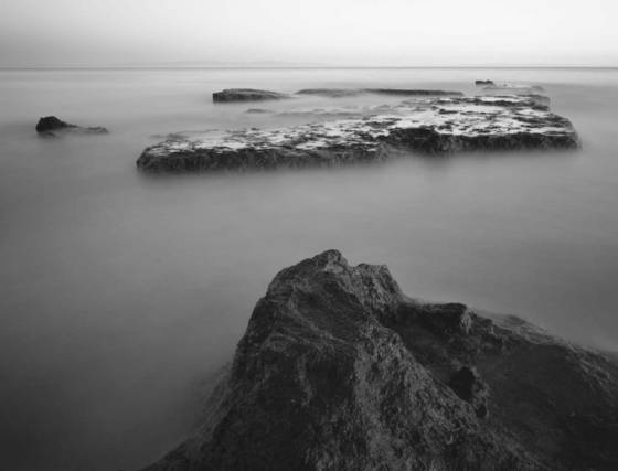 Creation_study__3
