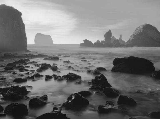 Sand_dollar_cove