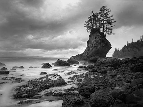 The_old_man_of_the_sea