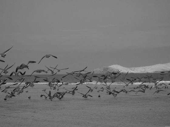 Untitled_11