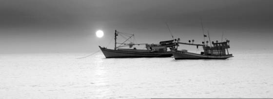 Sunset_fleet