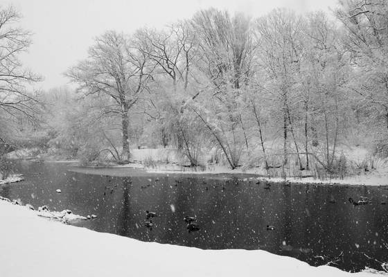 Snowstorm