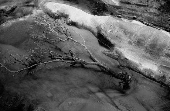 Branch__in_stream
